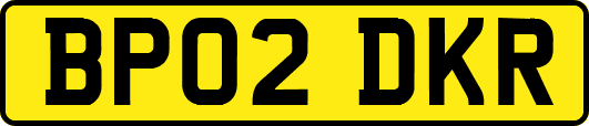 BP02DKR