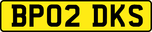 BP02DKS
