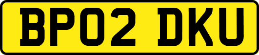 BP02DKU