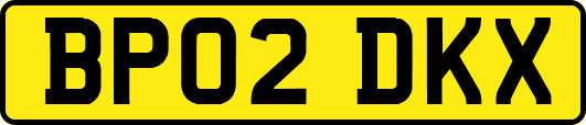 BP02DKX