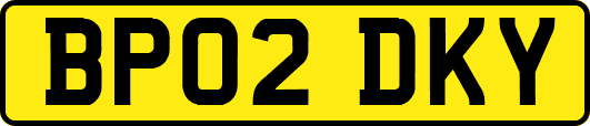 BP02DKY