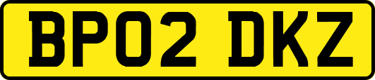 BP02DKZ