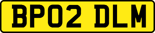 BP02DLM