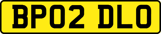 BP02DLO