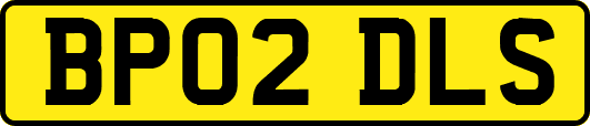 BP02DLS