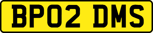 BP02DMS