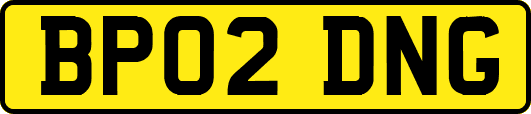 BP02DNG