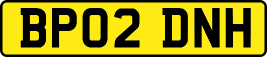 BP02DNH