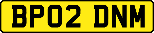 BP02DNM