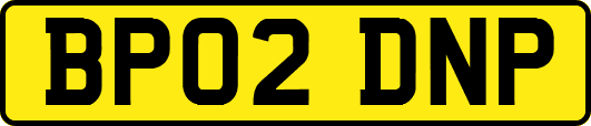 BP02DNP