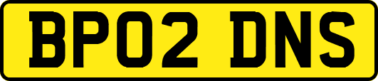 BP02DNS