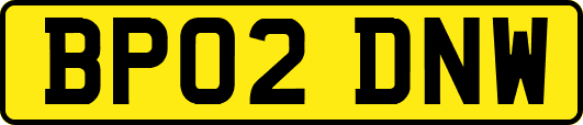 BP02DNW