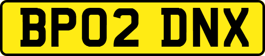 BP02DNX