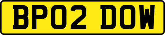BP02DOW