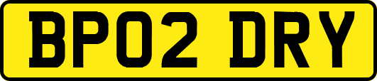 BP02DRY