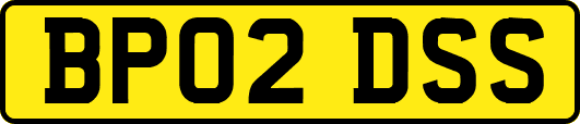 BP02DSS