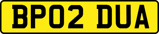 BP02DUA