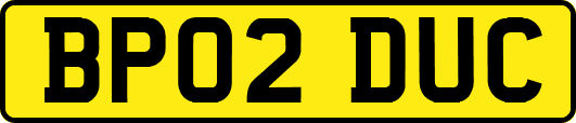 BP02DUC