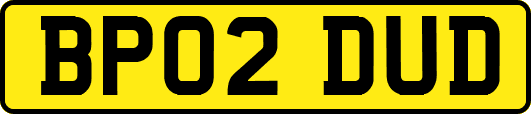 BP02DUD