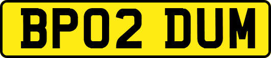 BP02DUM