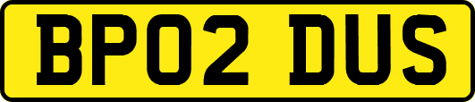 BP02DUS