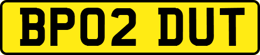BP02DUT