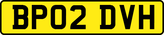 BP02DVH