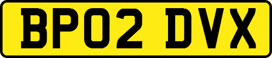BP02DVX