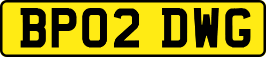 BP02DWG