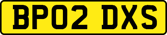 BP02DXS