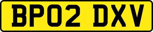 BP02DXV