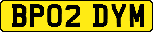 BP02DYM