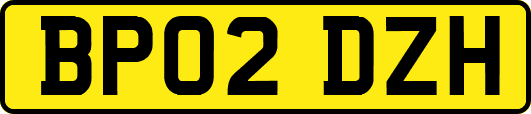 BP02DZH