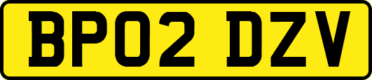 BP02DZV