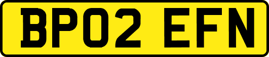 BP02EFN