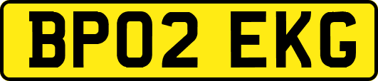 BP02EKG