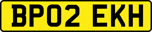 BP02EKH