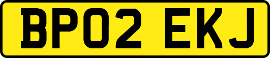 BP02EKJ