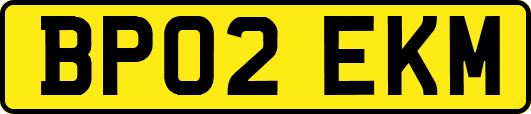 BP02EKM