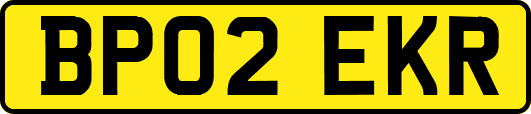 BP02EKR