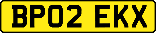 BP02EKX