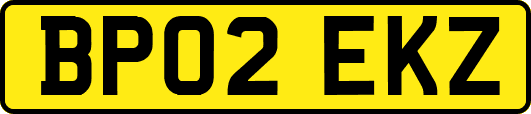 BP02EKZ
