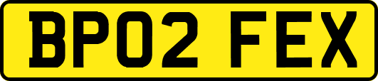 BP02FEX