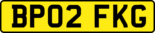 BP02FKG