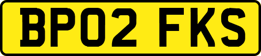BP02FKS