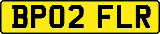 BP02FLR