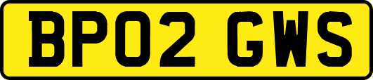 BP02GWS