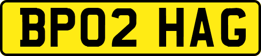 BP02HAG