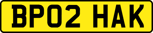 BP02HAK