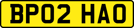 BP02HAO